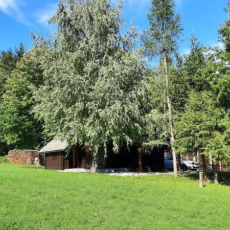 Forrest House Holiday home