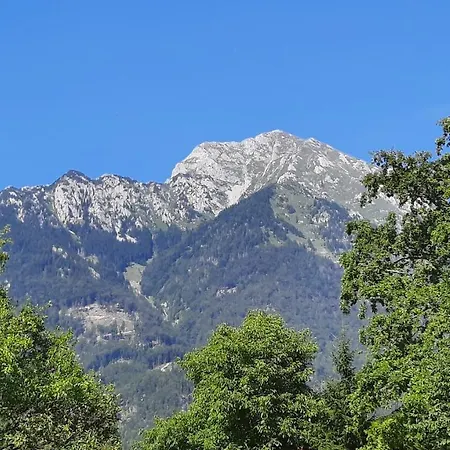 Forrest House Holiday home *